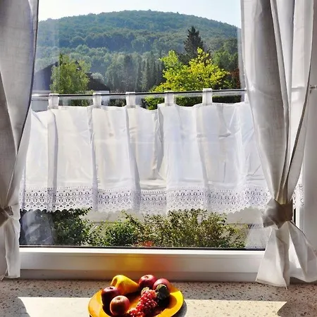 Domizil Kenia Apartment Bad Harzburg
