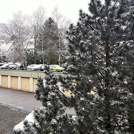 Domizil Kenia Apartment Bad Harzburg